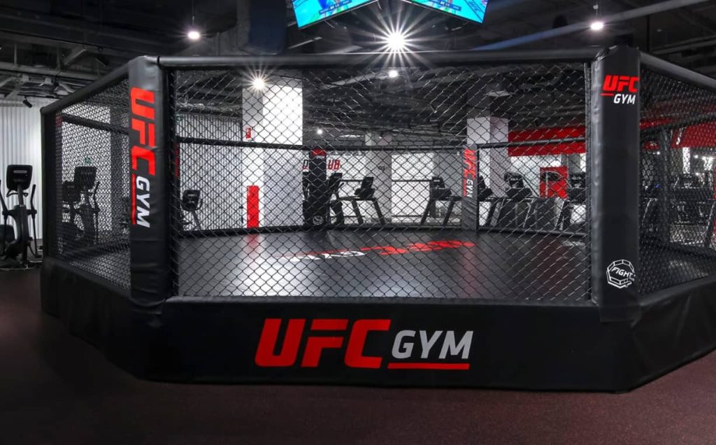 ufc-gym-franchise-cost-opportunities-profits-docs-more